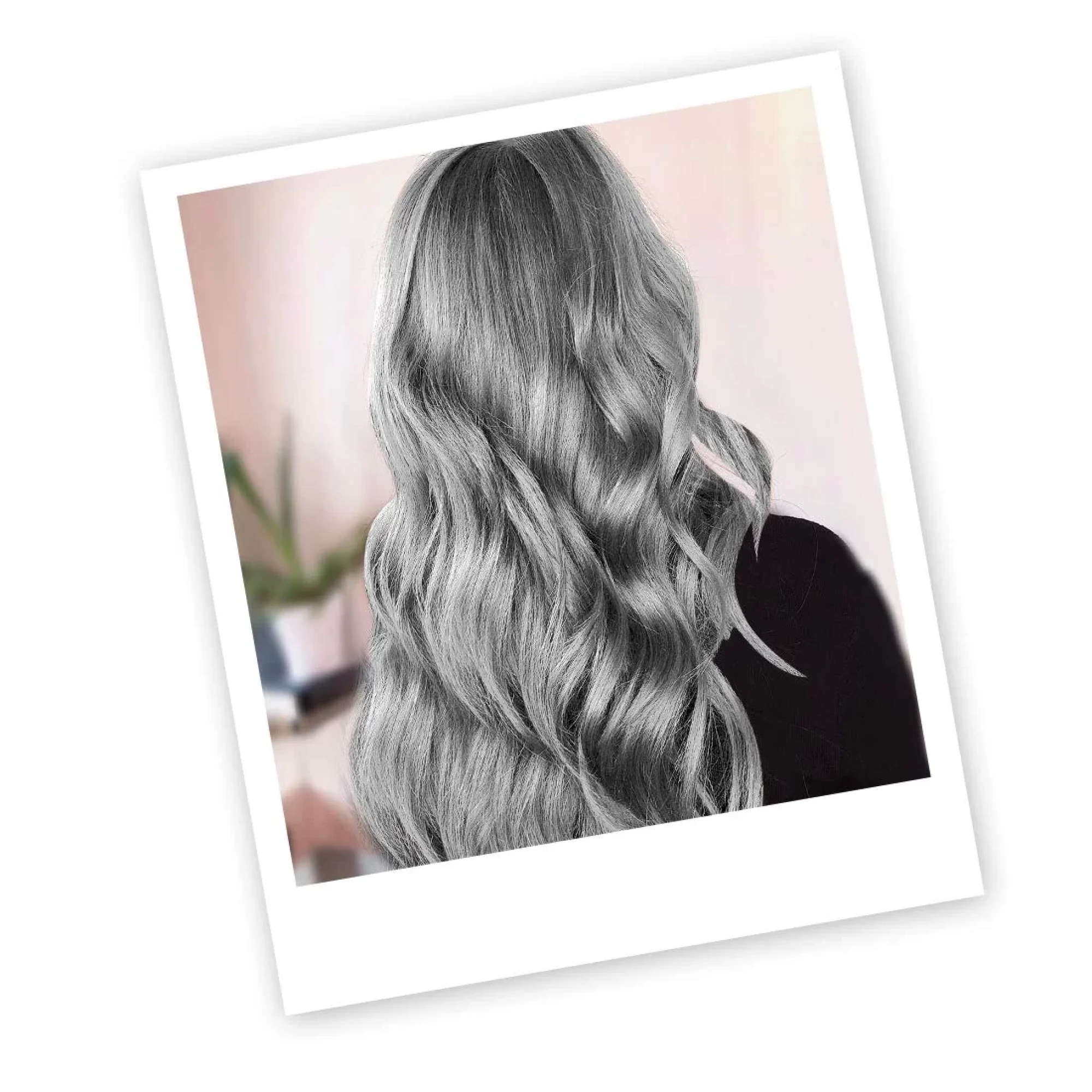 Fixup Hair colour Silver1.webp